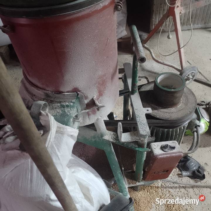 Śrutownik bąk nieuszkodzony Starachowice