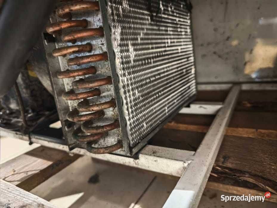 Szafa chłodnicza COLD SW1600 DR 826L statyczne Góra