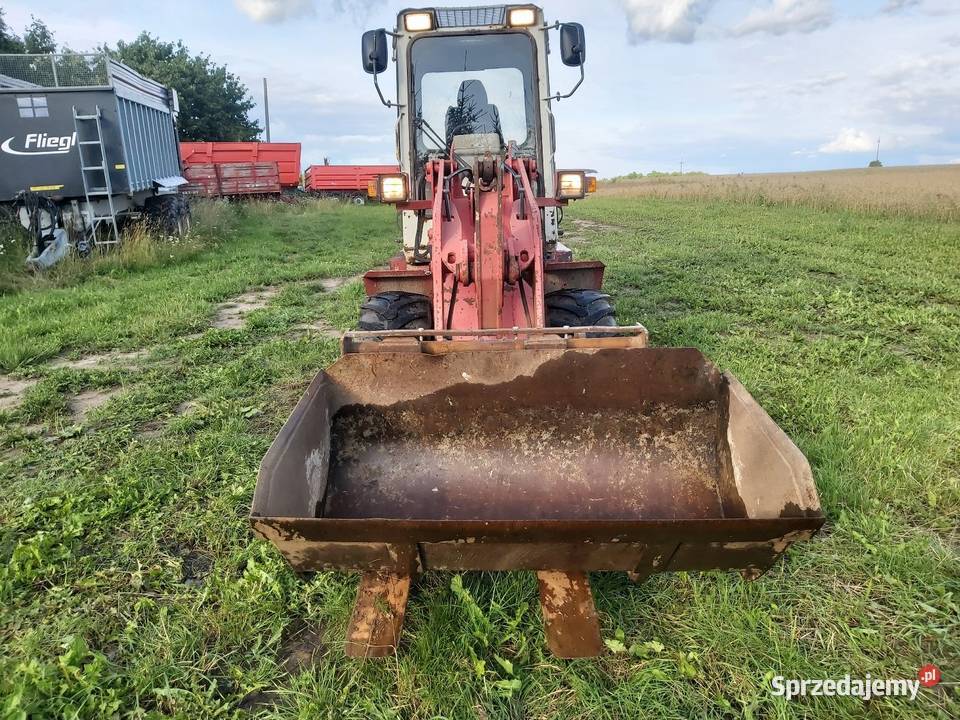 Weidemann 2004DD Schaeffer 1997 kujawsko-pomorskie