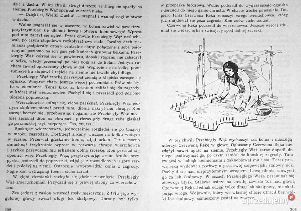 Złoto Gór Czarnych Przekleństwo złota Tom 2 K i sprzedam