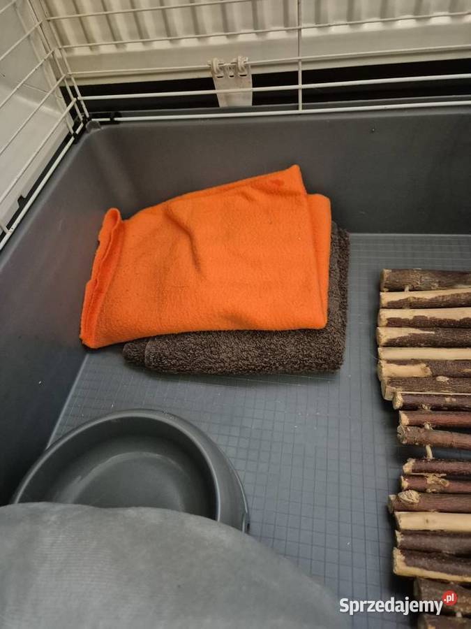 Klatka gryzonie królika świnki morskiejszynszyli