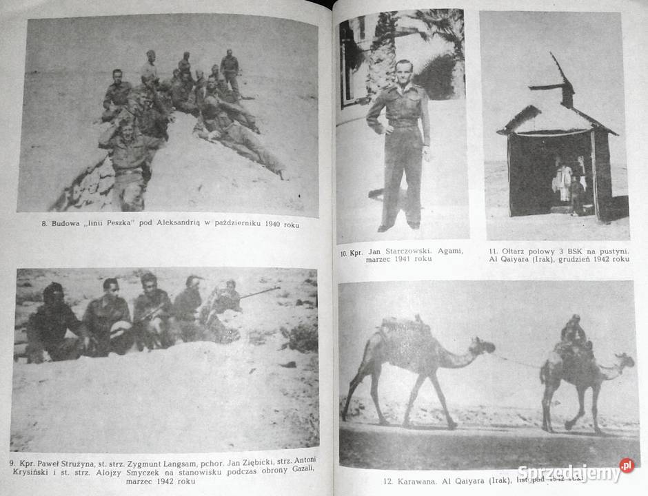 Wojenne opowieści porucznika Szemraja Adam Chełm