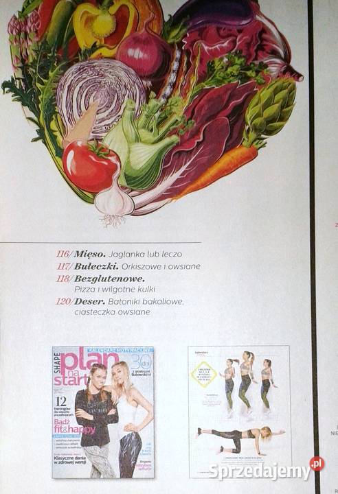 Shape Plan na start Wiosna 012017