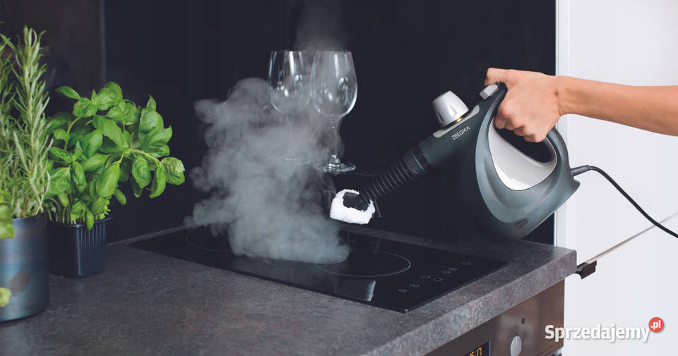 PAROWNICA na PLUSKWY Myjka Parowa 1000W 3 Bar Parownice Baranowo sprzedam