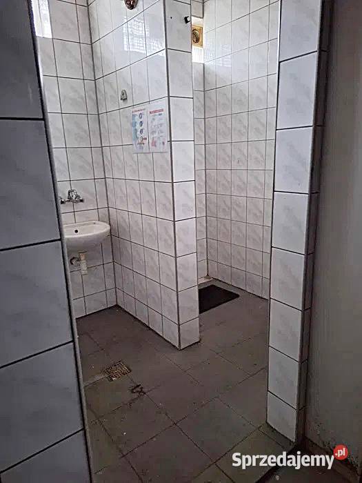 Hala do wynajęcia Rybnik