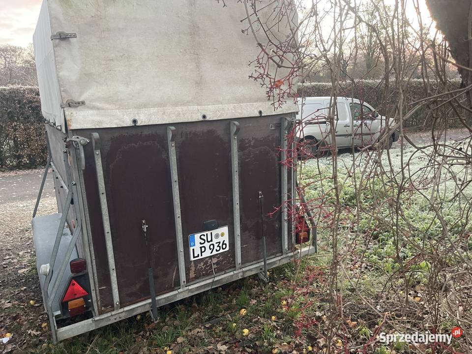 Przyczepa do przewozu zwierząt DMC 2000 Skarżysko-Kamienna