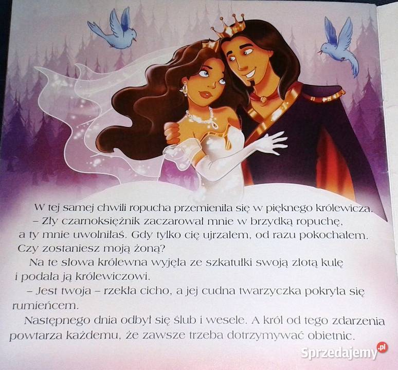 Żabi król 100 bajek naszego dzieciństwa Chełm