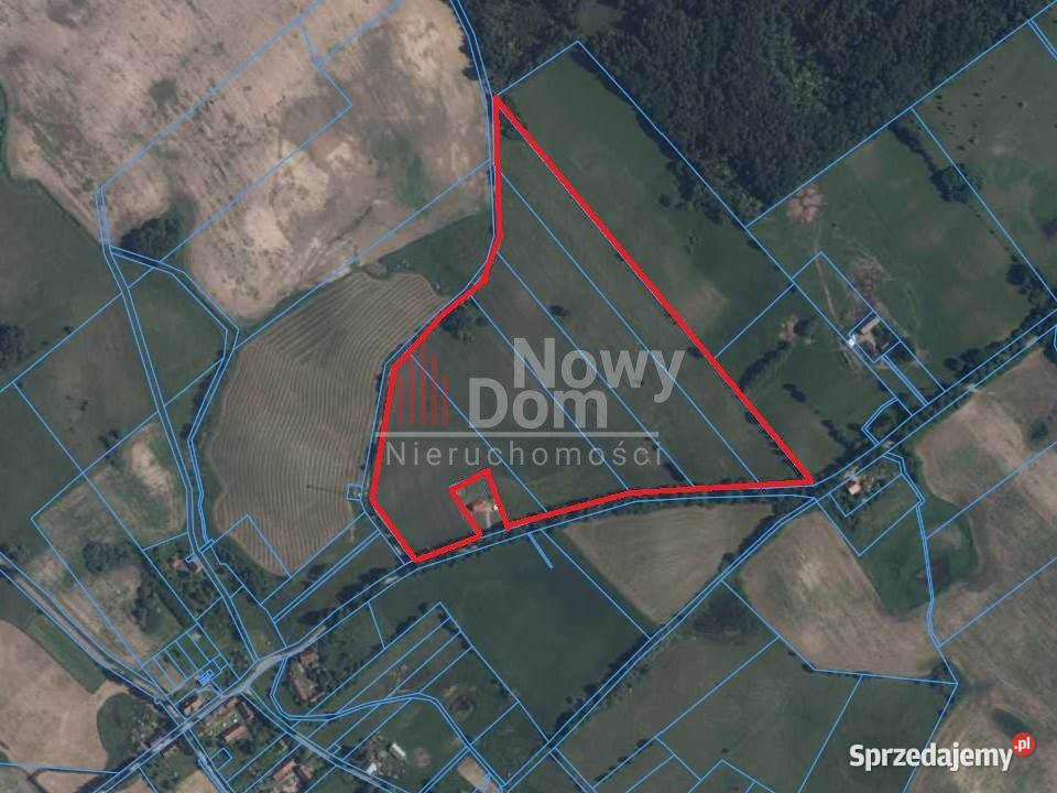 Grunt Pańska Wola 127723m2 Sprzedaż