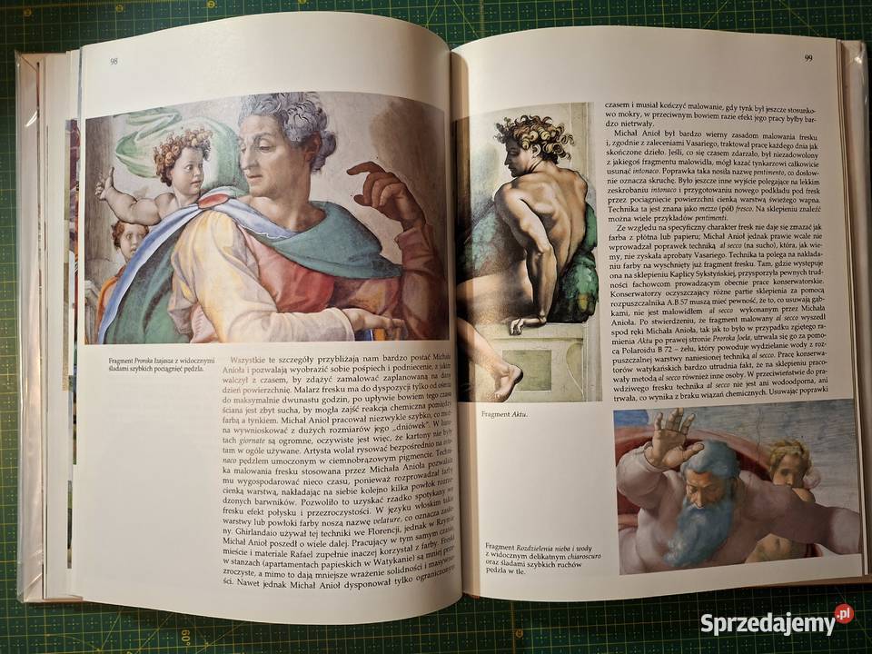 Michał Anioł i freski Kapicy Sykstyńskiej R Poradniki, albumy i reportaże Kraków sprzedam