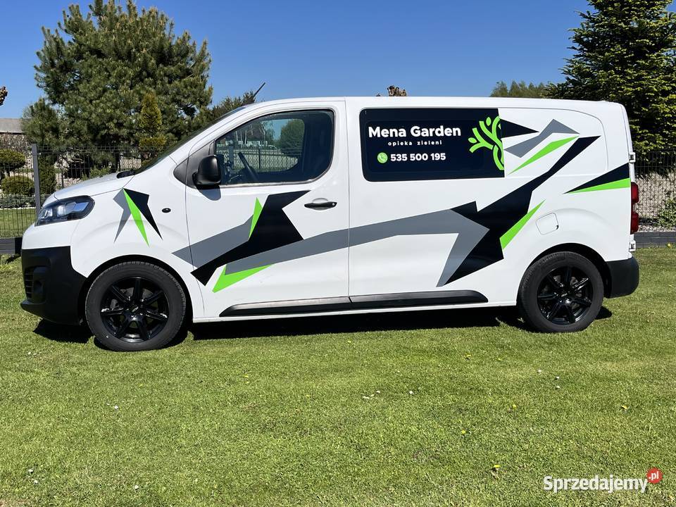 Citroen Jumpy 20 HDI 150 5 osobowy nieuszkodzony Citroën Brzozówka-Kolonia sprzedam