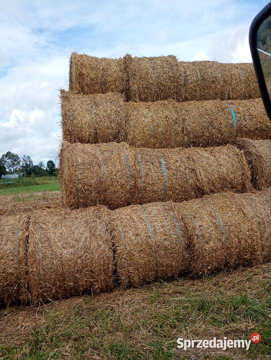 Bele słomy 130 Rolnictwo podlaskie sprzedam