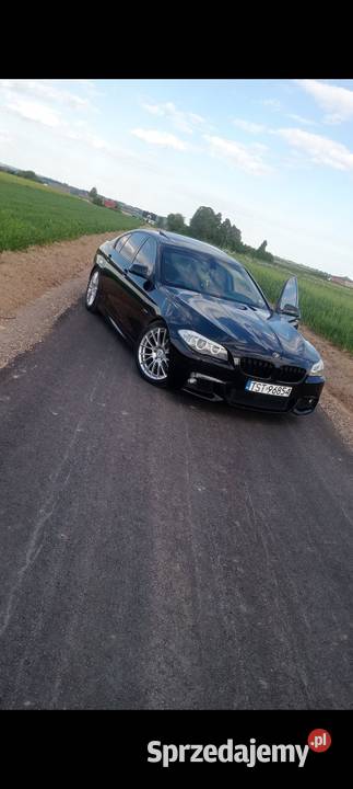 Sprzedam BMW F10 520d 220 nieuszkodzony Seria 5 świętokrzyskie Szerzawy