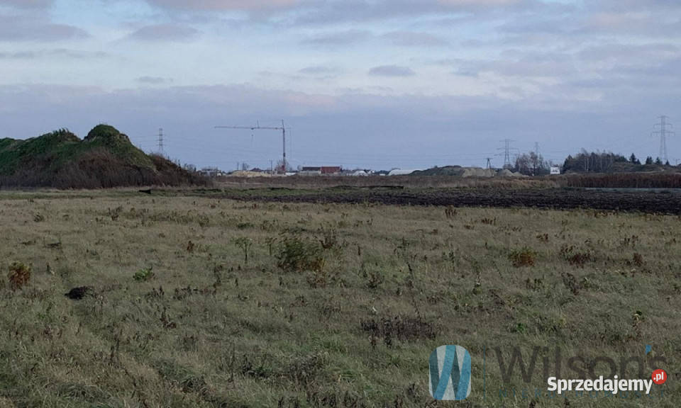 sprzedaży działki Nowa Wola 10021m2 budowlana