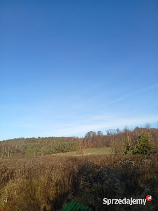 Sprzedam działkę budowlaną 3700m2 Ludwinów