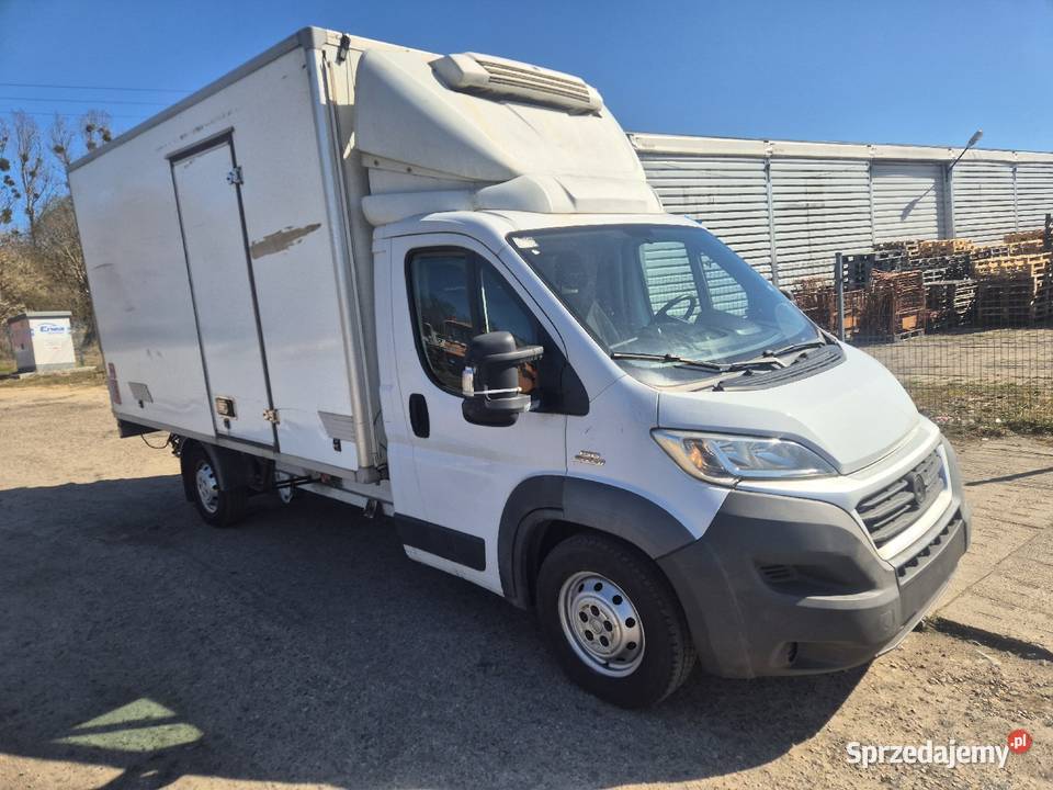 Ducato chłodnia Thermo king v300 150KM Prusinowo