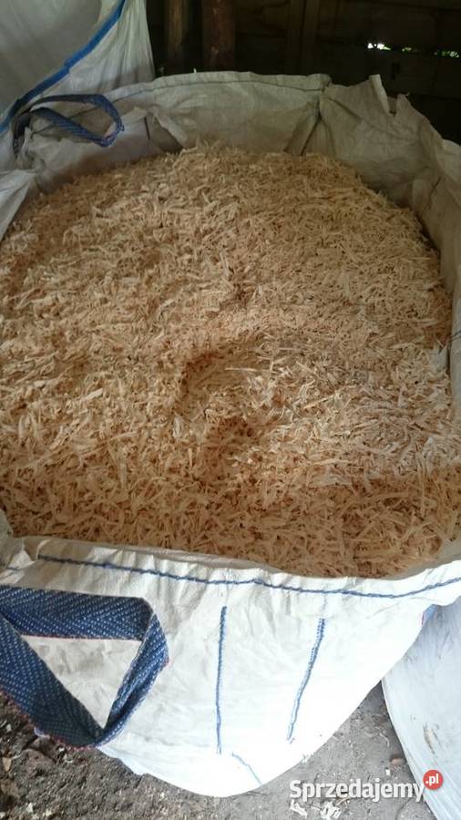 Suche Trociny Drewno Liściaste big bag Łódź