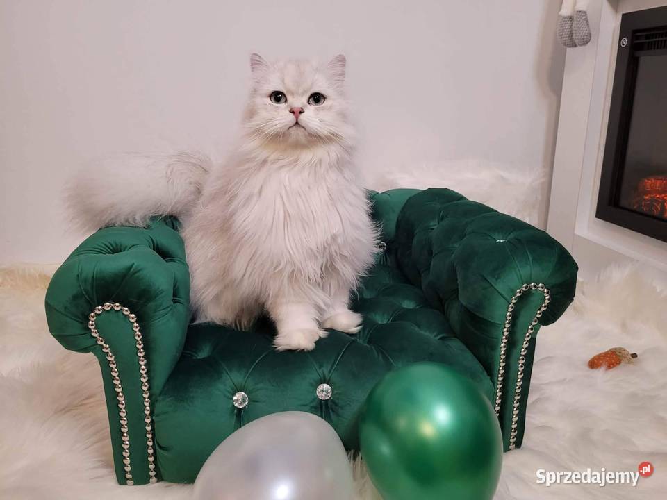 Legowisko kanapa glamour psa kota 100 kolorów Warszawa