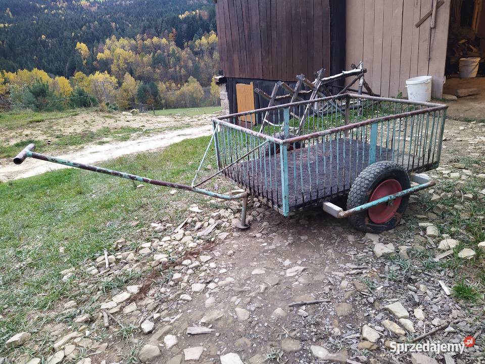Wózek dwukołowy solidny z rączką uchwytem quad Paleśnica