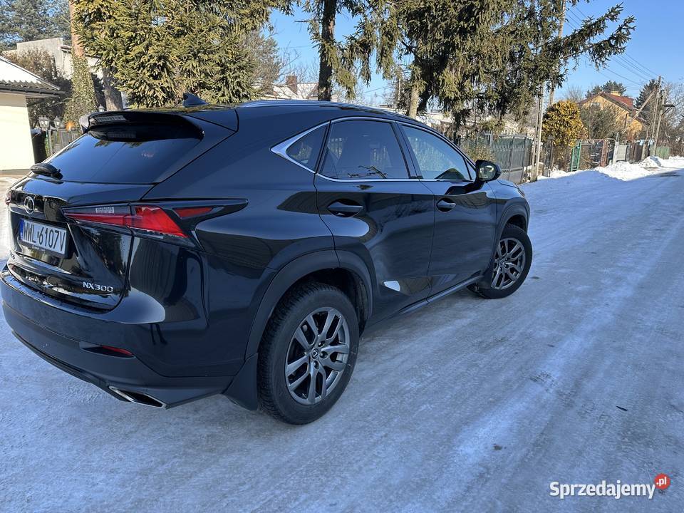 Lexus NX300 stan