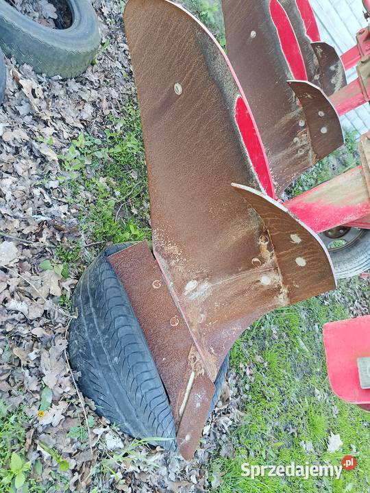 Pług 3 skibowy zagonowy Pługi Widzów