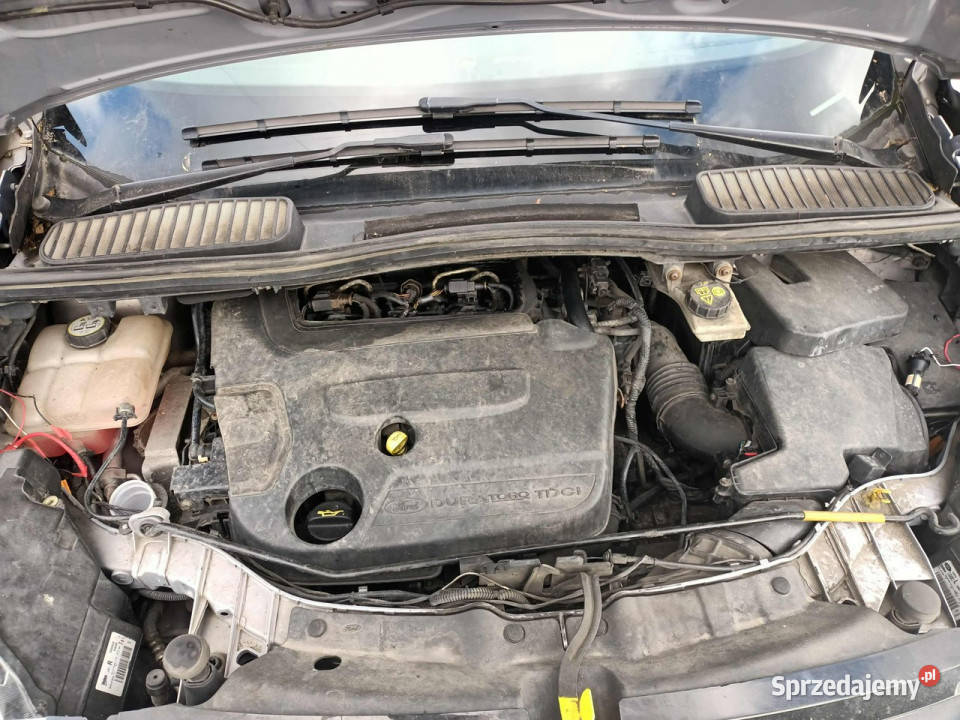 Ford C Ford C 20 TDCI 116 12r Automat 7Os II Tarnów