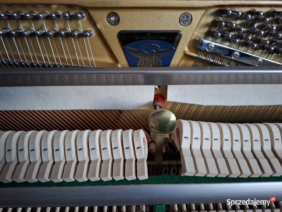 Pianino Eutepre CBECHSTEIN model EU112 stannowe Brzesko sprzedam