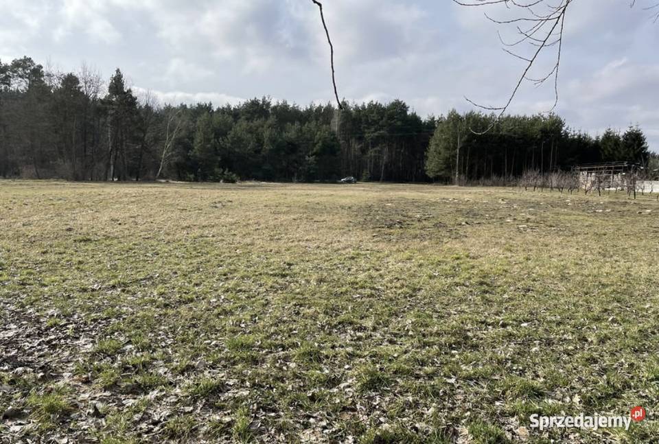 Sprzedam działkę rolnobudowlaną 56 ar świętokrzyskie Krzcin