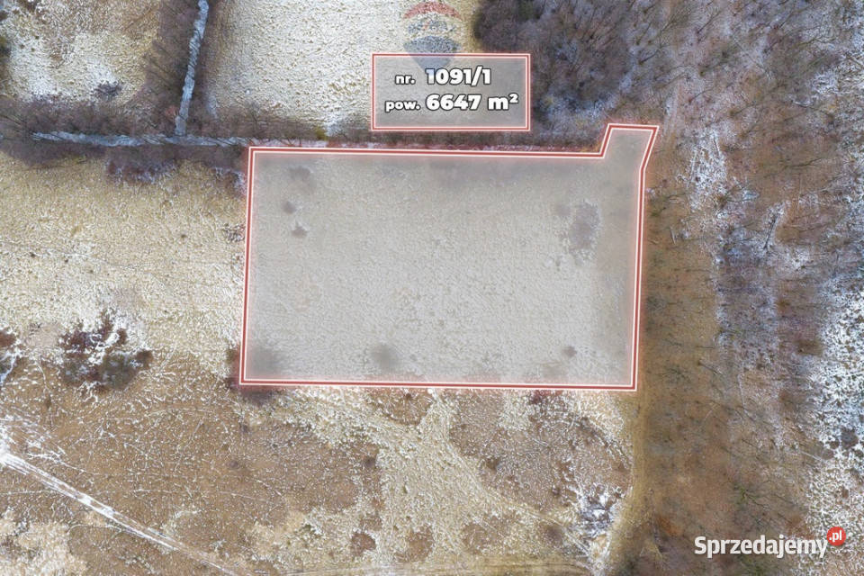 Działka rolna o pow 6647 m lubuskie Świdnica