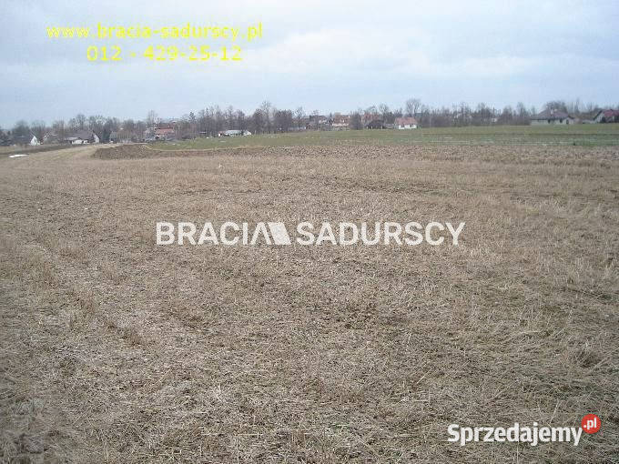 Działka 8900m2 Niewiarów sprzedam