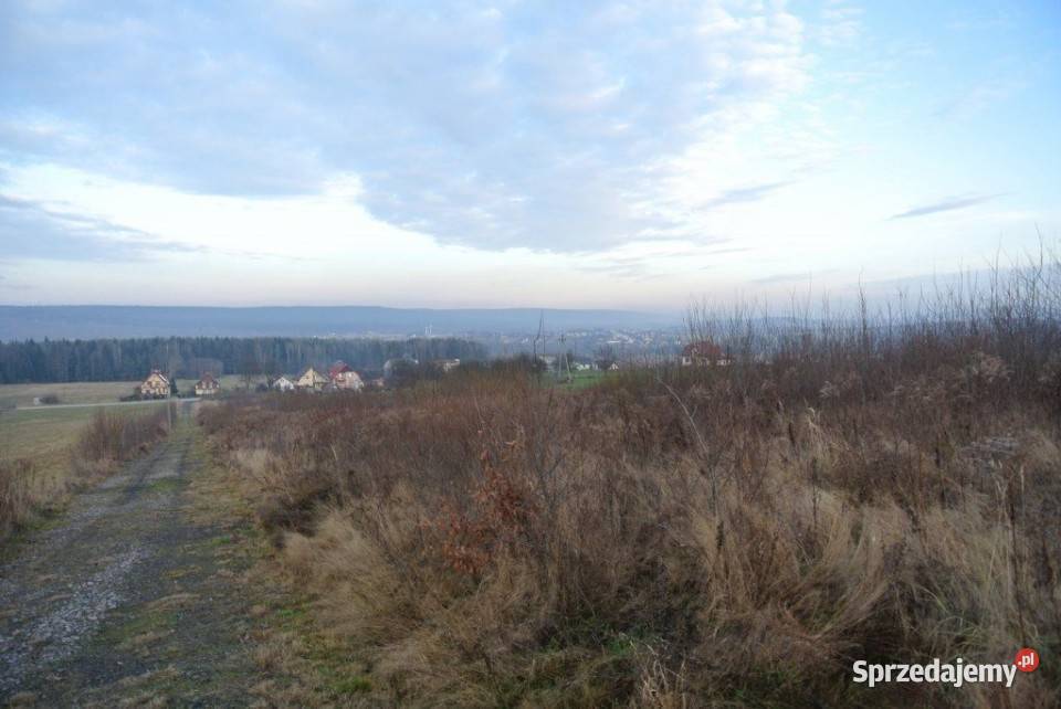 Sprzedam grunt Pępice 1159m2