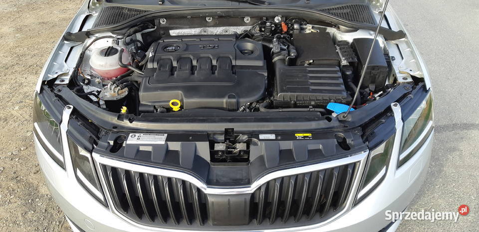 Skoda Octavia 16 TDI Ambition DSG Nowy Świętów
