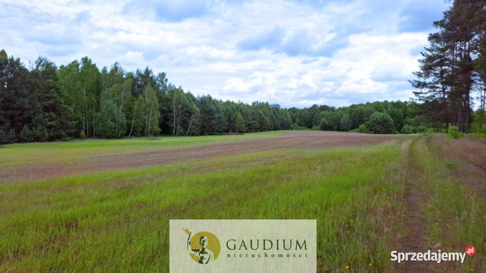DUŻA DZIAŁKA ROLNA Z LASEM MĘCIKAŁ gm Brusy pomorskie Męcikał sprzedam