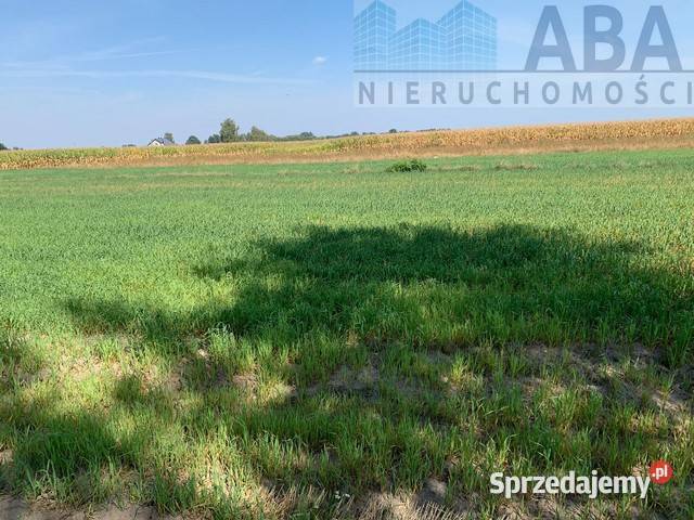 Złotkowy gm Rychwał 3 działki budowlane na wielkopolskie