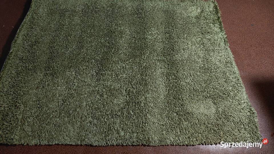 Dywan 220160 zieleń Świdnica