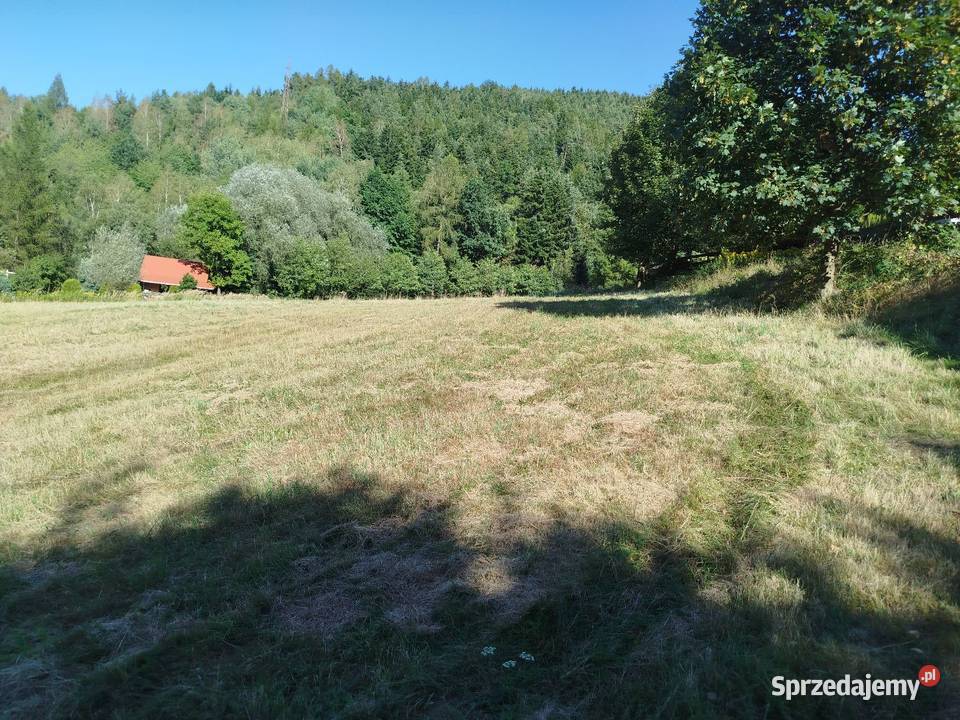 Sprzedam piękną i uzbrojona działkę budowlaną w 127zł/m2