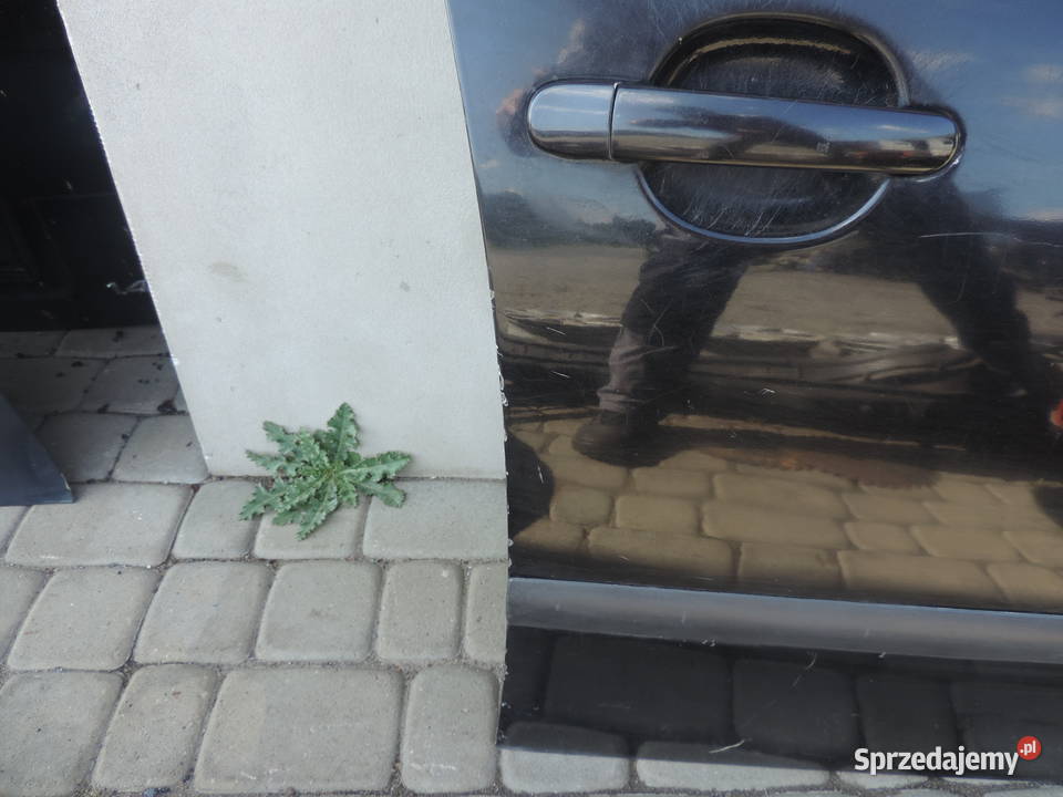 DRZWI PRAWY PRZÓD SEAT CORDOBA 2 Nowy Sącz