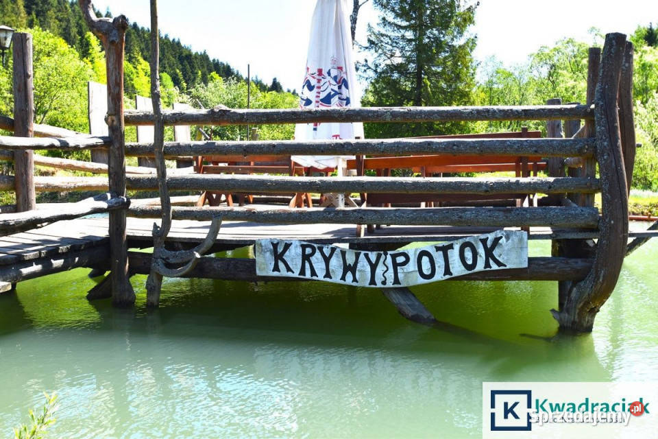 Działka 11659m2 Krzywe