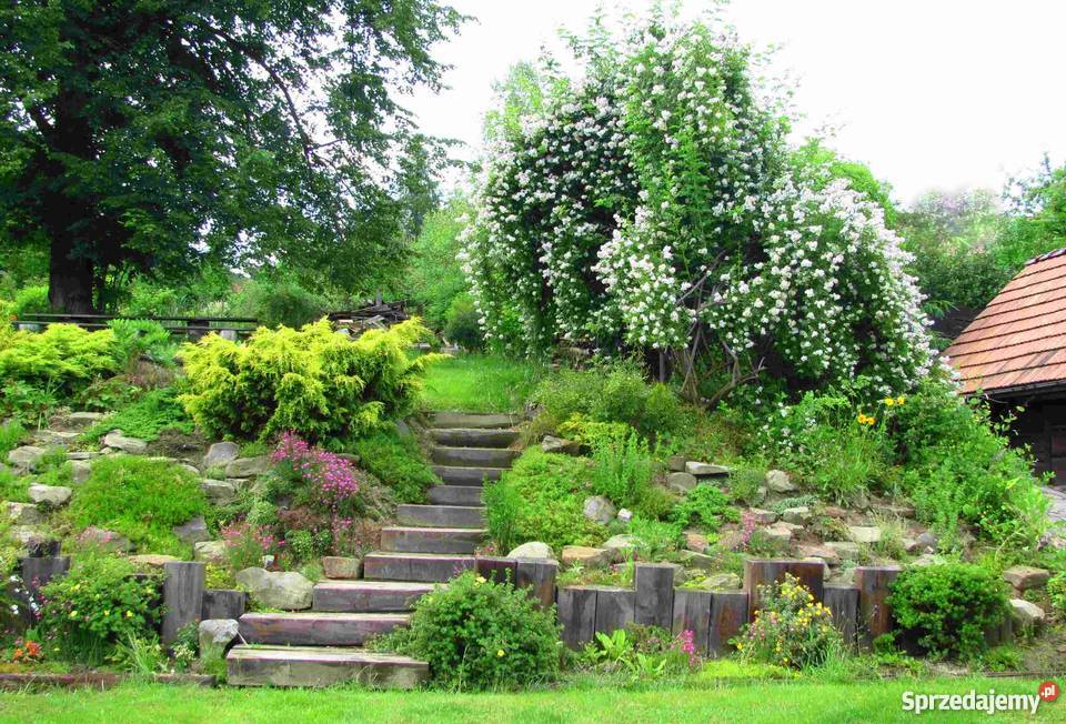 Posiadłość Dom w Beskidach Żywiec SPRZEDAM alarm śląskie Żywiec sprzedam