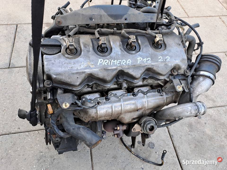 Nissan Almera Primera P12 22Di 6biegowa skrzynia Układ napędowy Jastrzębie-Zdrój sprzedam
