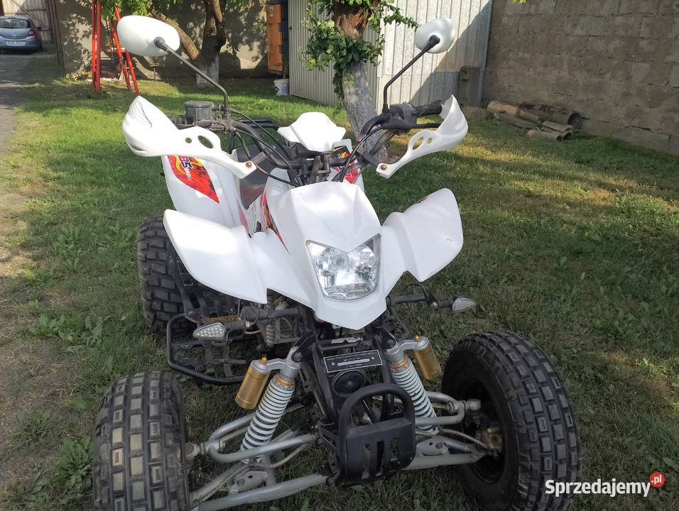 Bashan 250 bs50s 11b Mogilno