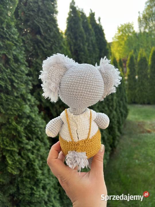 Koala Plewiska