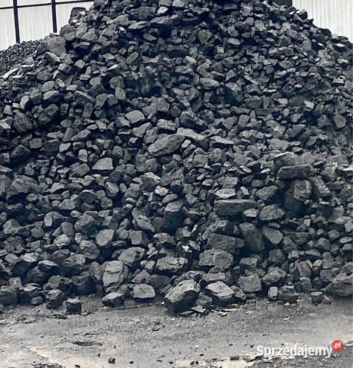 Polski Węgiel Orzech Marcel Staszic Dostawa w Opał