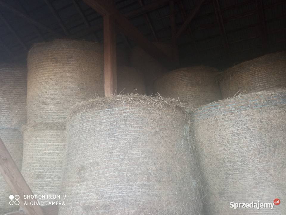 sprzedam siano w balotach
