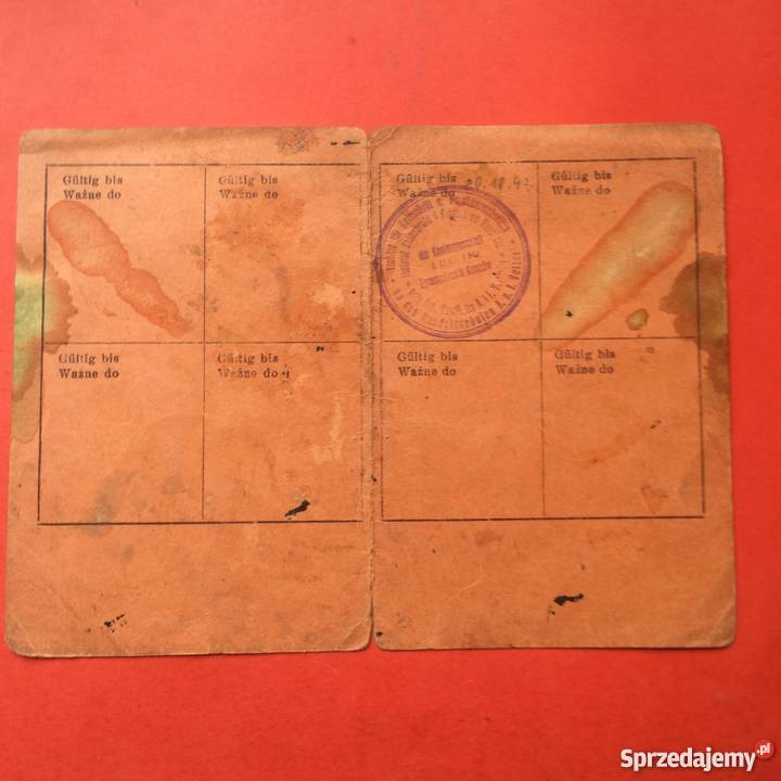 731 Zaświadczenie Instytutu Stenografii Szczecin sprzedam