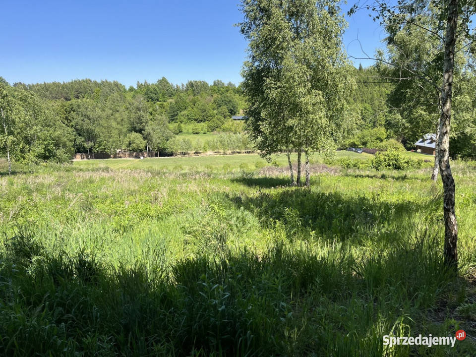 Działka 3580 m2 w Kazimierzu Dolnym 4 rynku Nieruchomości Kazimierz Dolny sprzedam