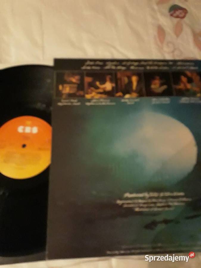 TOTO Hydra CBS Records 1979 z kolekcji własnej Rzeszów sprzedam