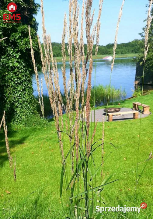 sprzedaży lokalu Augustów