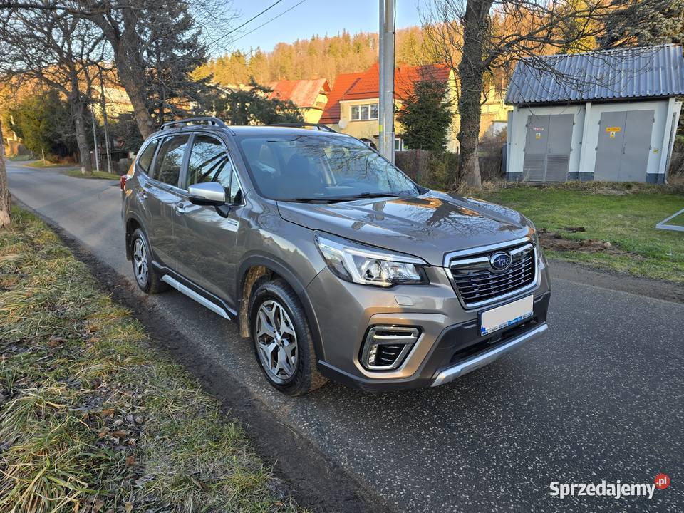 Forester 20 Eboxer dolnośląskie Kowary
