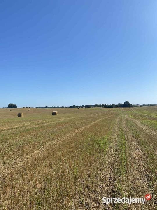 Słoma w belach 120 do 200