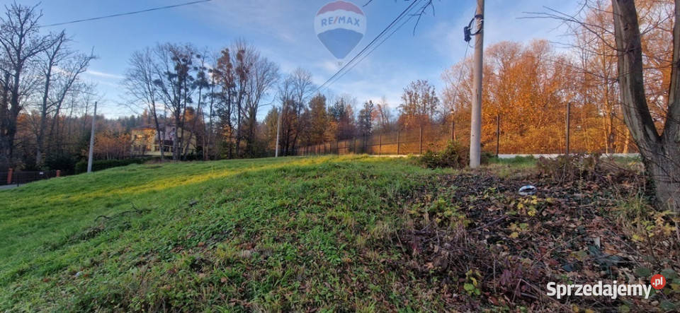 Góry lasy i doliny Beskidy Leszna Górna